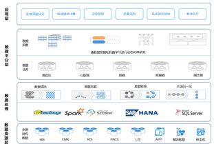 臨床大數據的醫院級數據處理 應用基石與變現前奏
